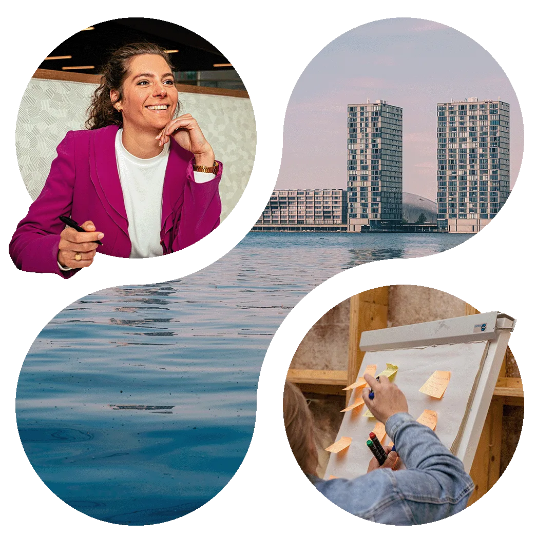 Startups Lelystad